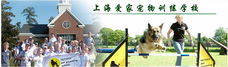 训犬 训犬学校